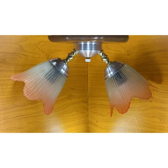 Lampara De Techo Colgante Cadena Milenio 2 Luces Y Vidrio
