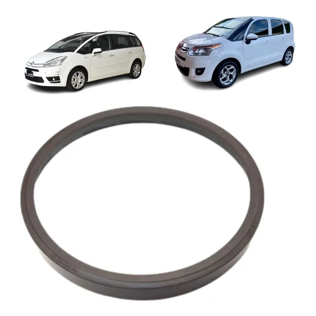 Anel Magnético Freioabs Traseiro Citroenc3 Picasso C4picasso