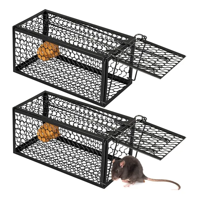Rampa De Ardillas Viva Para Animales Vivos Ratas Humanas X2