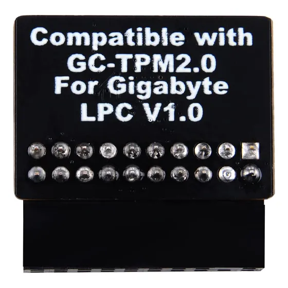 Newhail Modulo Lpc Infineon Para Placa Base Gigabyte