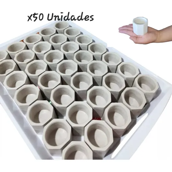 Souvenir Pack 50 Unidades Tipo Maceta