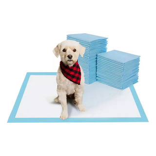 Paños Sanitarios Super Absorventes Para Perros Educativos 60 X 40 Cm X 50 Unidades Color Celeste Paños Sanitarios Super Absorventes Para Perros Educativos 60 X 40 Cm X 50 Unidades Color Celeste