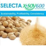 Concentrado Proteico Soya Xsoy-600 Uso Animal 