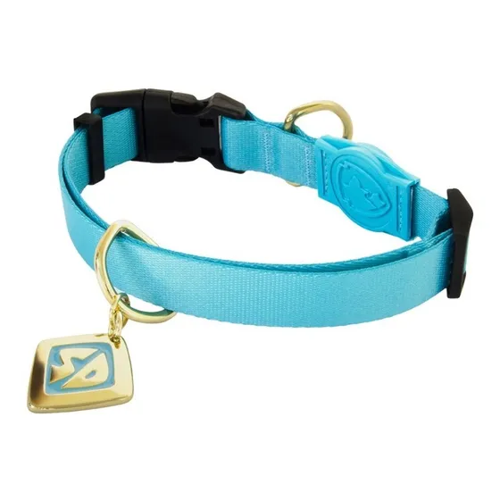 Coleira Para Cães Scooby-doo Ajustável E Pingente M Cor Azul Scoob
