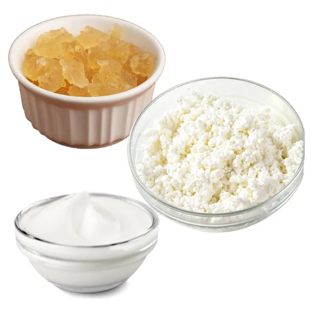 Kefir De Leite E Kefir De Água E Brinde Iogurte Infinito