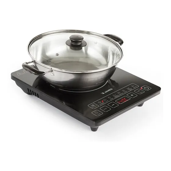 Anafe Portatil Electrico James Cij-21 Practico Olla Incluida Color Negro
