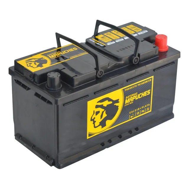 Batería Mapuches - 12x100 Amp (baja)