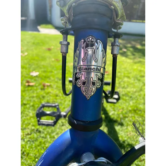 Bicicleta Bmx  Aro 20 Bianchi Azul Único