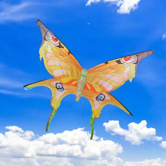 Juguete Papagayo Cometa Grande Mariposa