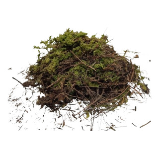 Pak De 3 Musgo Verde Natural Deshidratado De 100gr Pak De 3 Musgo Verde Natural Deshidratado De 100gr