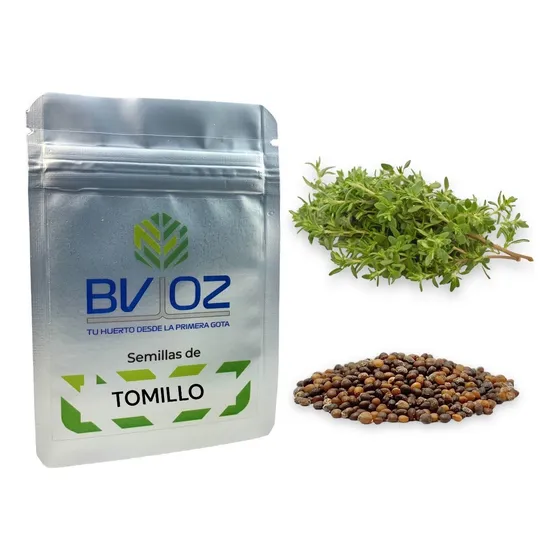 Semillas De Tomillo. Cultivo Agrícola