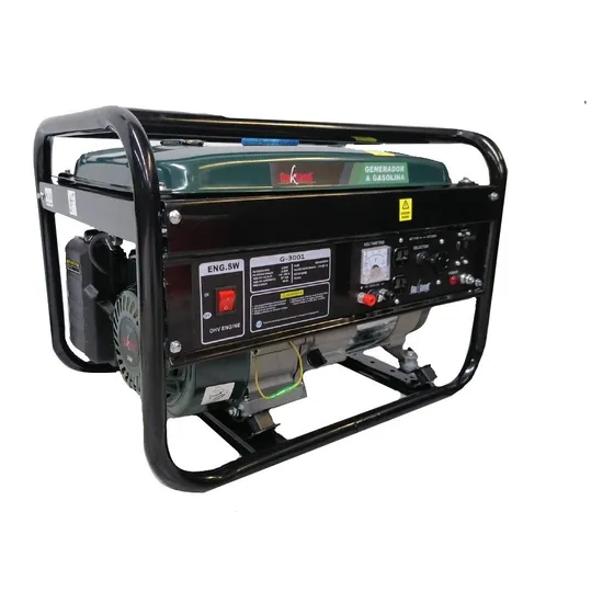 Generador Portátil 3000w Bifasico 110v/220v Oakland G-3000