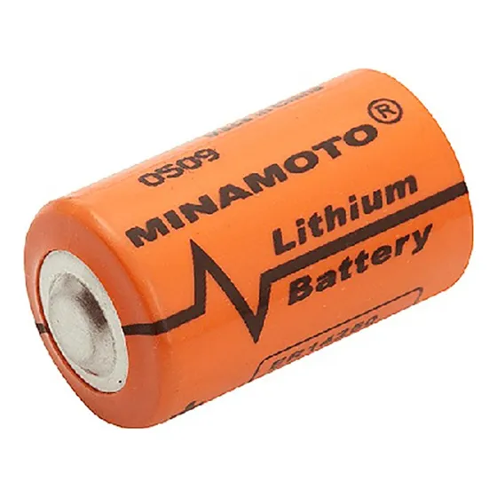 Bateria Não Recarregável Lítio 3,6v 19000mah Tamanho D