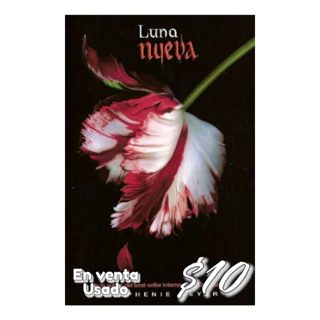 Luna Nueva
