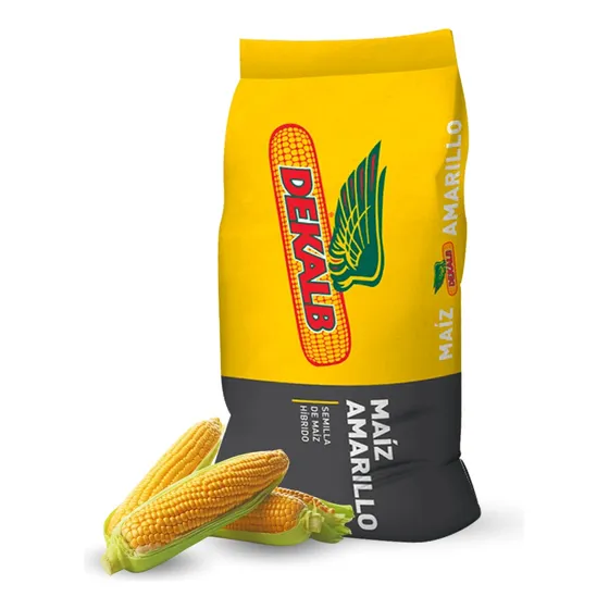 Semilla De Maíz Amarillo Híbrido Dekalb 7088rr X 60.000