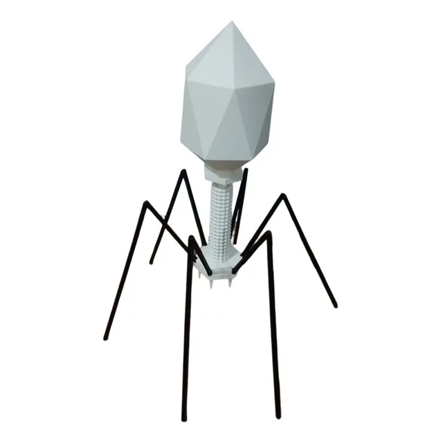 Bacteriófago Maquete Modelo 3d Biologia