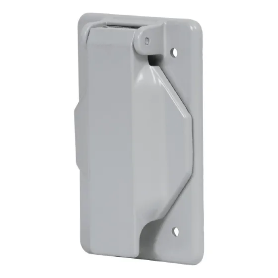 Placa Caja Fs Con Tapa Voltech 46434