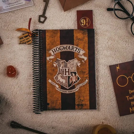 Agenda 2025 Harry Potter + Carta Aceptación + Lapiz Varita