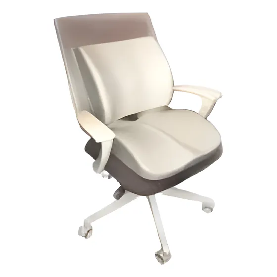 Cojin Para Asiento Almohada Almohadón Apoyo Lumbar 2 En 1 Ne