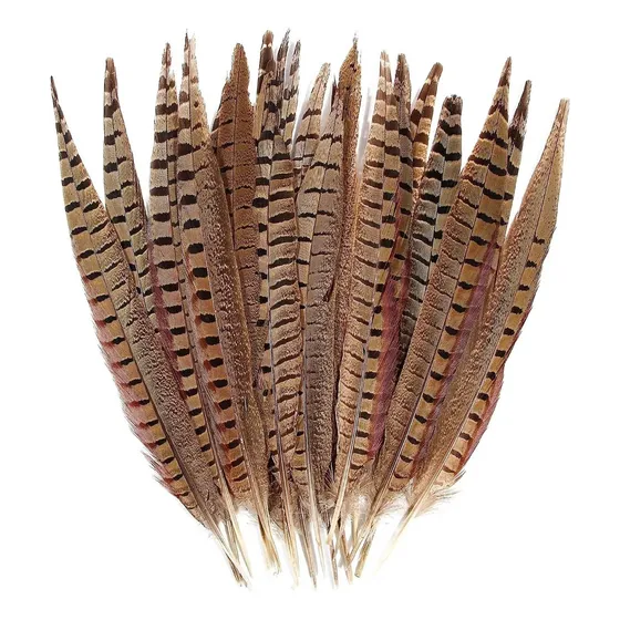 10 Plumas De Faisán Naturales Plumas 20-25cm Color Marrón