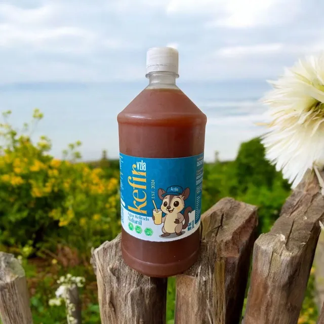 Agua Kefir Yogurt Leche Suero Fabricante Probiotico Natural