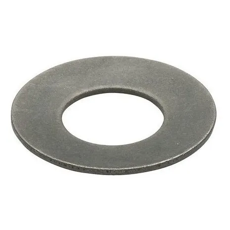 Disc Spring Chrome I.d. 1.614 In Pk10