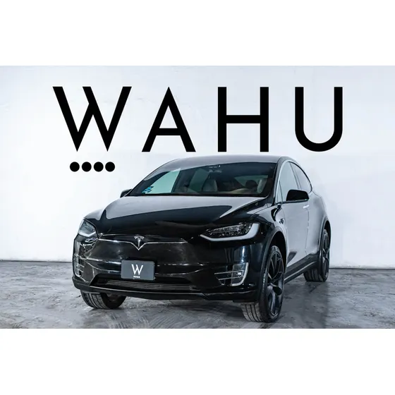 Tesla Model X P100d Mt