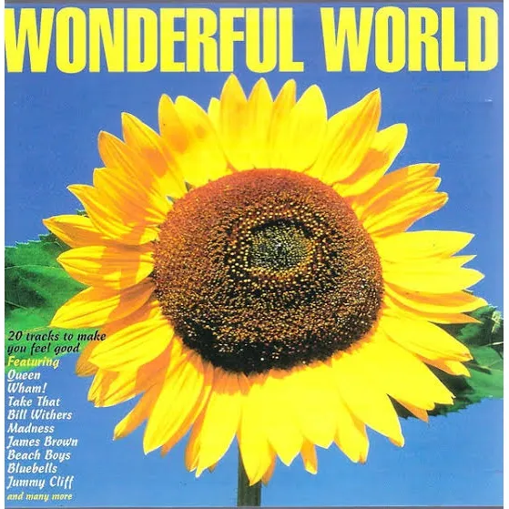 Wonderful World 20 Tracks To Make You Feel Good Cd