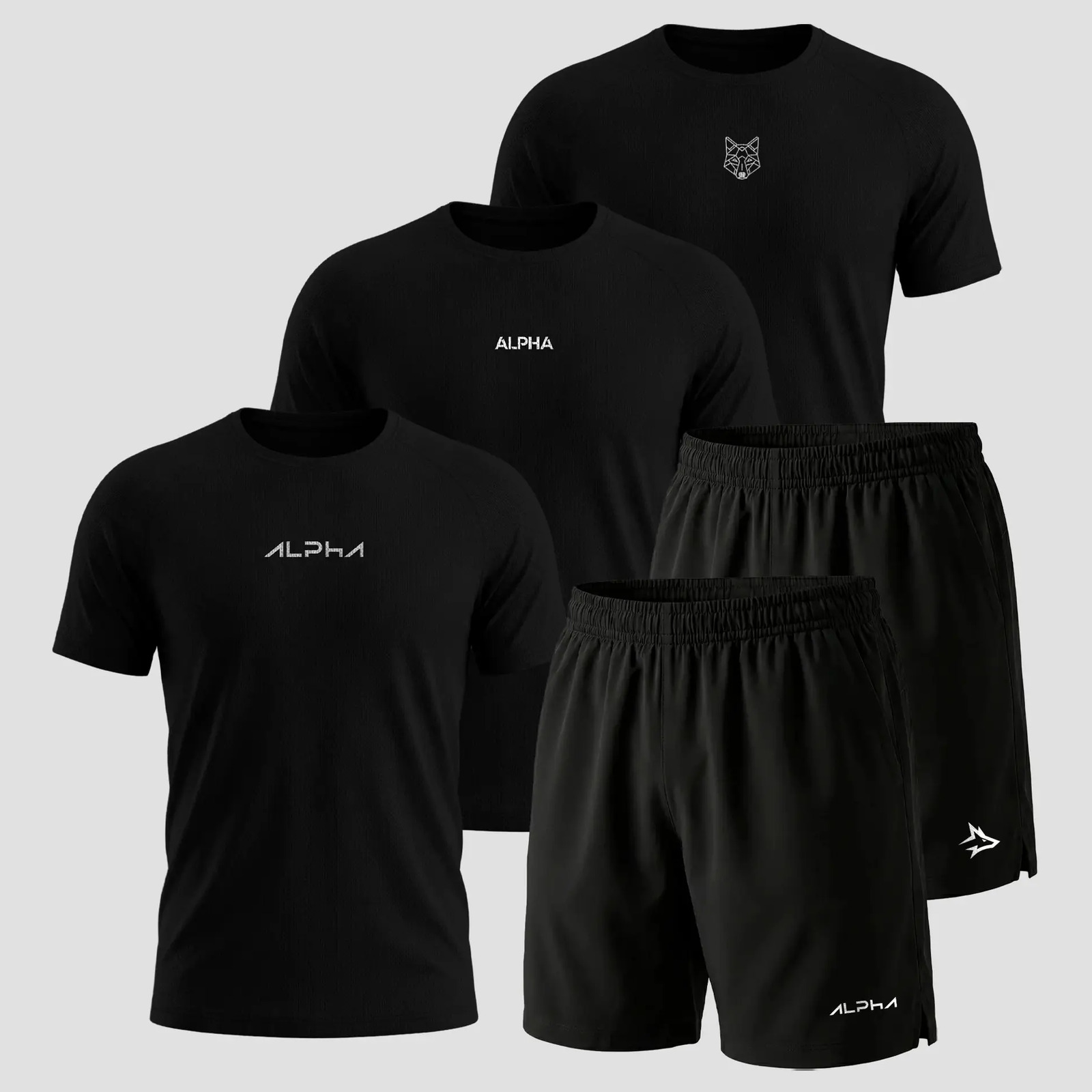 Kit 5 Camisetas e 2 Bermudas Alpha Dry 3