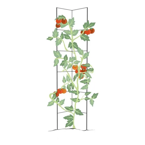 Tutor Tomatera De Hierro Macizo Huerta Para Tomates En Negro