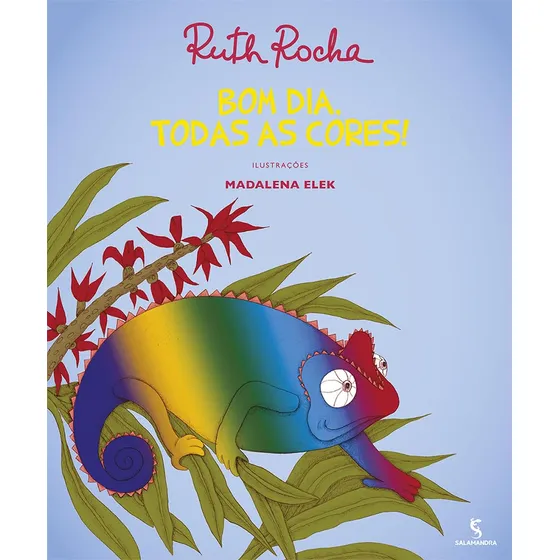 Livro Bom Dia Todas As Cores