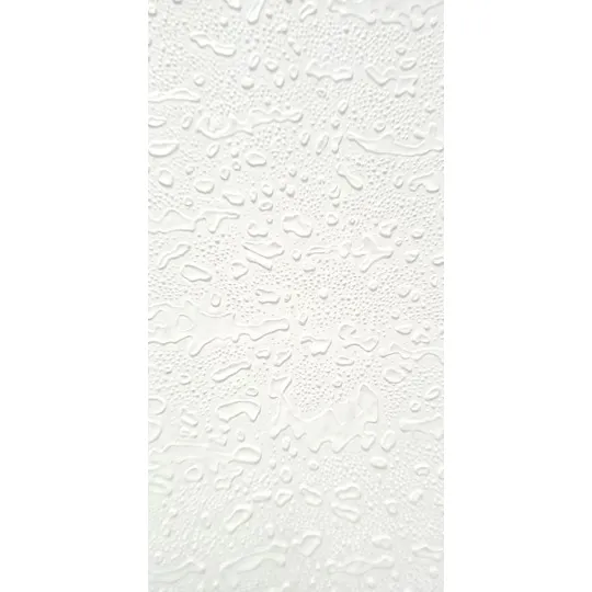 Lamina De Yeso Decorada C/limón Cielo Raso, Techo Raso
