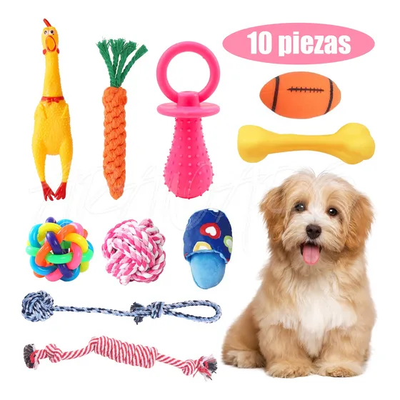 Cachorros De Juguete Para Perros De 10pcs Masticando Cuerda
