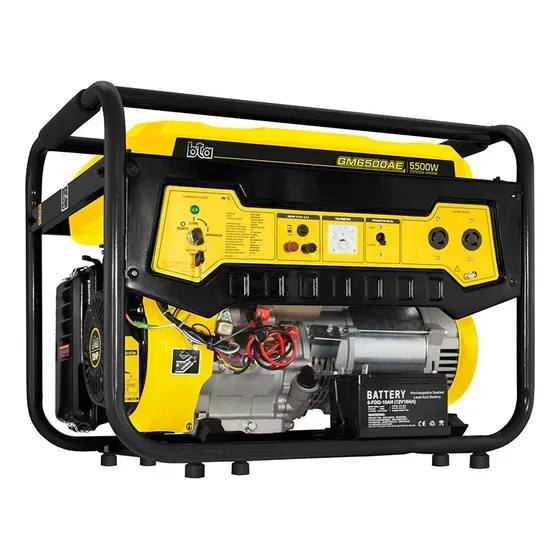 521168 Grupo Generador Naf Gm6500ae 13hp A/e