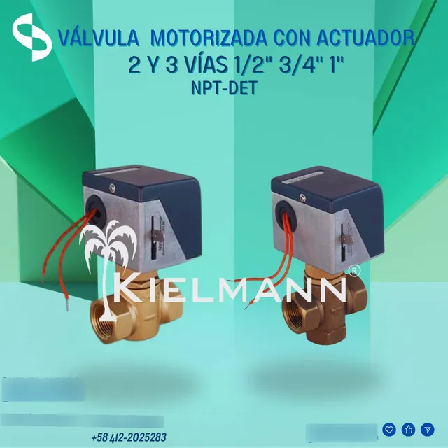 Válvula Motorizada 2 Vías 1 Pulgada Npt-det 220v, 110v O 24v