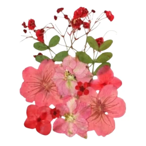 12 Flores Secas Prensadas Resinas Epoxi Uv Cerezo