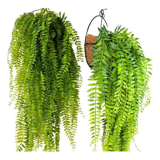 Samambaia Artificial Com Suporte De Parede Folhagem Pendente