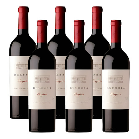 Vino Tinto Bressia Conjuro Caja X6 750ml Vino Tinto Bressia Conjuro Caja X6 750ml