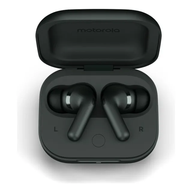 Motorola Audífonos Moto Buds+ Sound By Bose Forest Grey