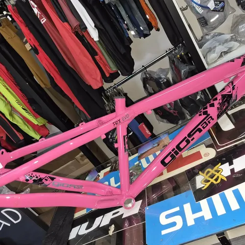Quadro Gios Frx Evo Gancheira Horizontal Grau,wheeling,dirt, Cor