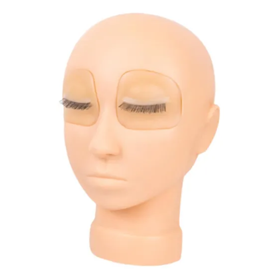Z Párpados Reemplazados Practicar Modelo De Ojo De Cabeza