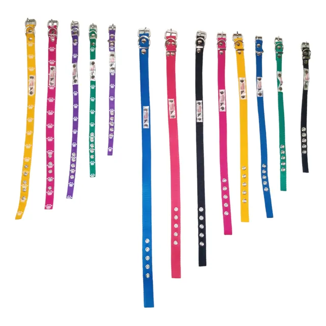 13 Collares + 13 Correas  Perros Mascotas Combo Mayorista