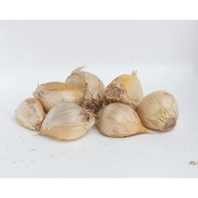 Semilla Ajo Chilote+manual De Huerta Pdf