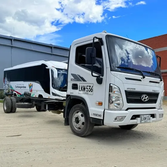Hyundai Ex8c 2023 Chasis Planchon Grua