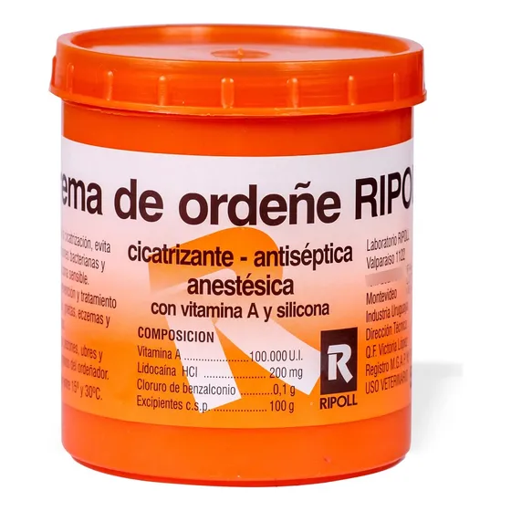 Crema Ordeñe 500g Ripoll