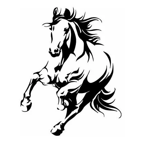 Vinilo De Pared Caballo En Libertad Vinilo De Corte