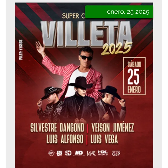 Boleta Palco 15 -precio Preventa Concierto Silvestre Dangond