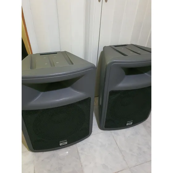 Cornetas Pavey Pr15 Como Nuevas...se Vende El Par