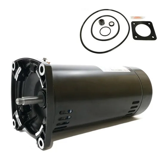 Puri Tech Kit Motor Repuesto Para Sta-rite Dura-gla 1hp Ao