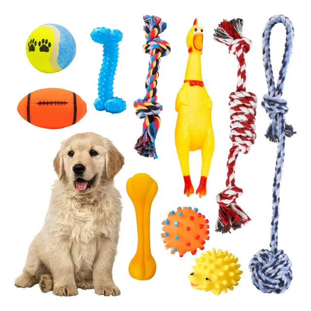 Cachorro Masticar Juguete Limpia Dientes Rechinar 10 Piezas